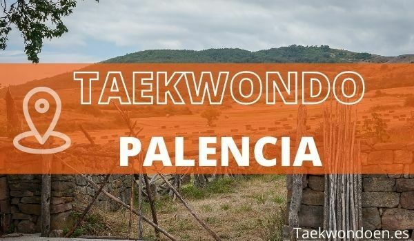 taekwondo en Palencia