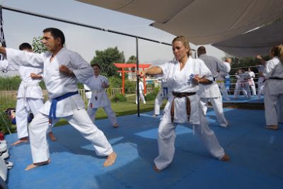 Las mejores clases de Taekwondo en Templo Marcial Kyokushin Castellon