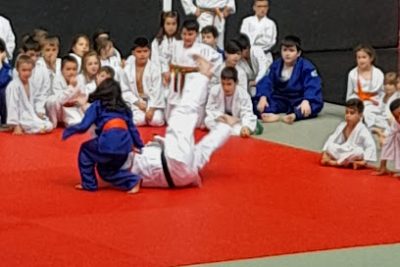 Las mejores clases de Taekwondo en Judo Club Erandio