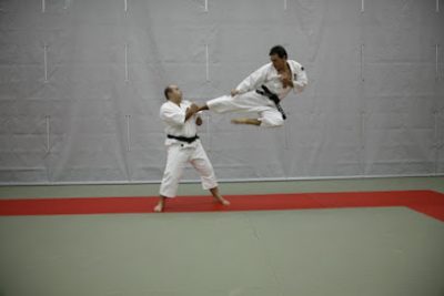 Las mejores clases de Taekwondo en Shorinji Kempo Donostia