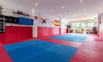 Las mejores clases de Taekwondo en Marbella Taekwondo