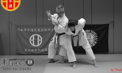 Las mejores clases de Taekwondo en Nippon Budo Soseikai EspañA Karate Tenerife Sur Islas Canarias