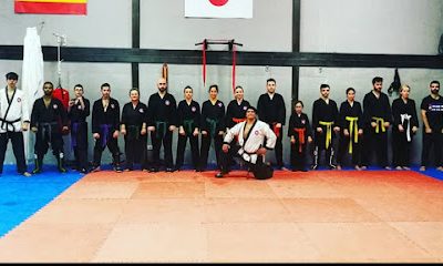 Las mejores clases de Taekwondo en Tang Soo Do MáLaga Dojang Figueroa