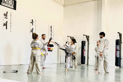 Las mejores clases de Taekwondo en Tribu Martial Arts