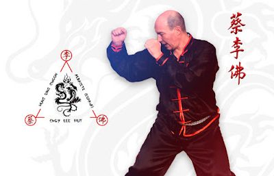Las mejores clases de Taekwondo en Gimanasio De Kung-Fu  Choy Lee Fut Albacete