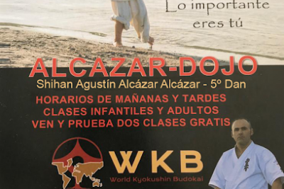 Las mejores clases de Taekwondo en Alcazar Dojo