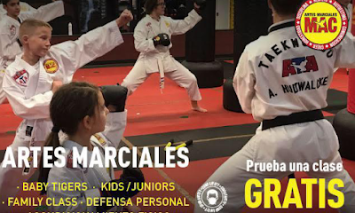 Las mejores clases de Taekwondo en Artes Marciales Mac Sarrià