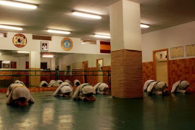 Las mejores clases de Taekwondo en Gimnasio Victoria I