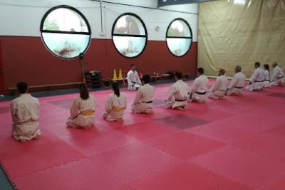 Las mejores clases de Taekwondo en Club Karate Kangaroo